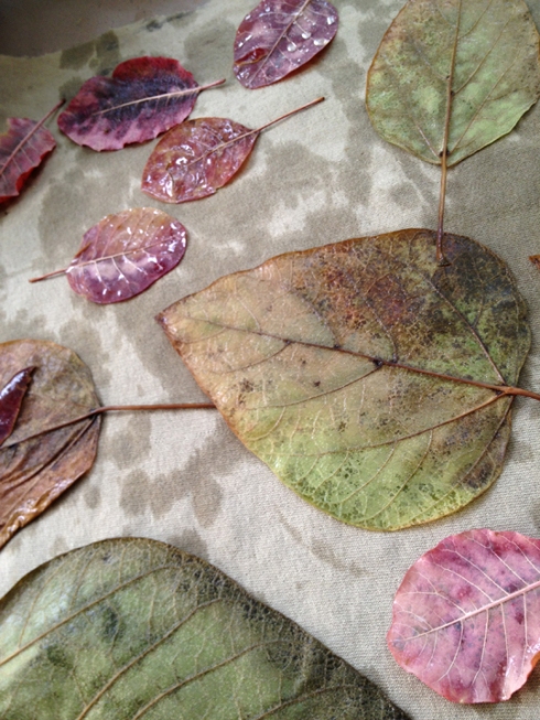 The Leaves Drying