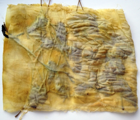 The Silk Tree Fluffs in the Cotton Cloth